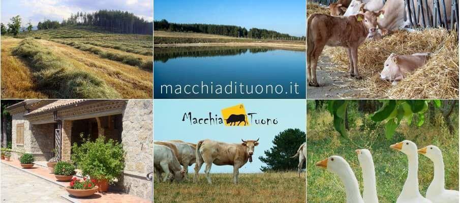 Отель Agriturismo Macchia Di Tuono Сан-Джованни-ин-Фьоре Экстерьер фото